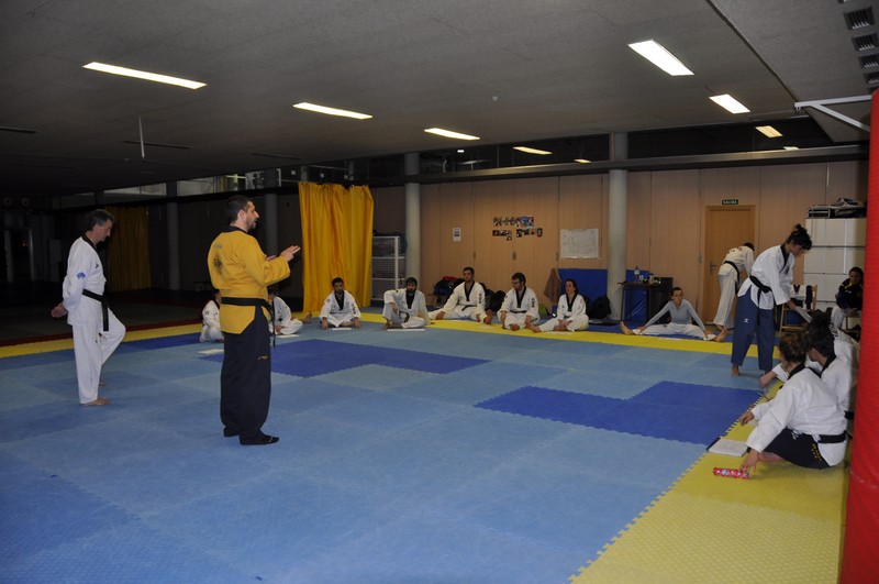 SEMINARIO POOMSAE Y FREESTYLE 2015